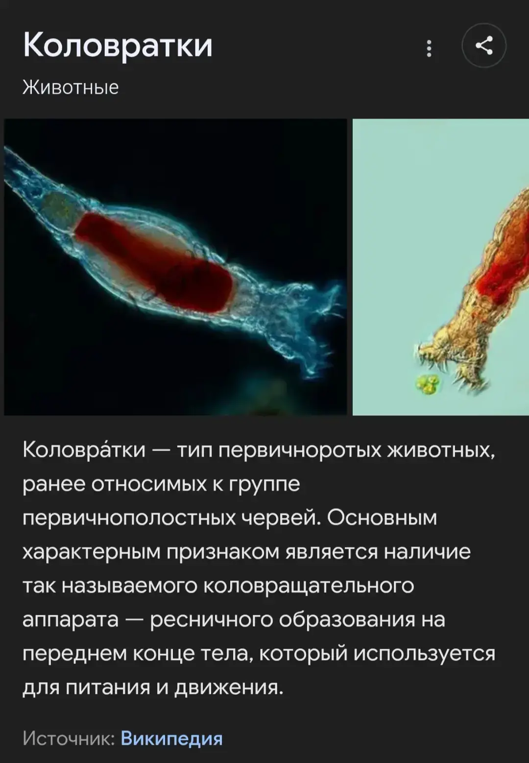 #коловрат #правыйдвиж #язычество #боги  Большинство свободноподвижные, но есть и прикрепленные формы. Небольшую группу коловраток составляют виды, использующие в качестве субстрата других животных и растения. Среди коловраток лишь несколько десятков представителей достигают в длину 1–2 мм, остальные существенно мельче. В среднем их длина 0.1–0.5 мм. Подписаться на тикток в описании профиля.