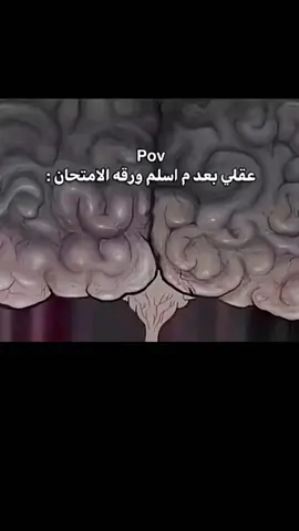 وتبدل الصح بلغلط وتكر كلشي!!  #رياكشن #الشعب_الصيني_ماله_حل😂😂 