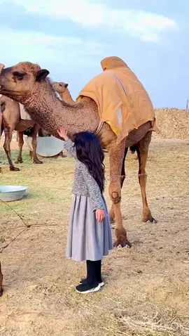 #ابوياسرــــــــ❥ــہہ🤍🌹 