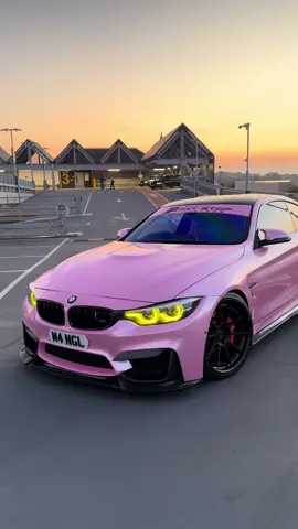 God I adore her every time 🩷 #fyp #fyppppppppppppppppppppppp #m4 #catsoftiktok 