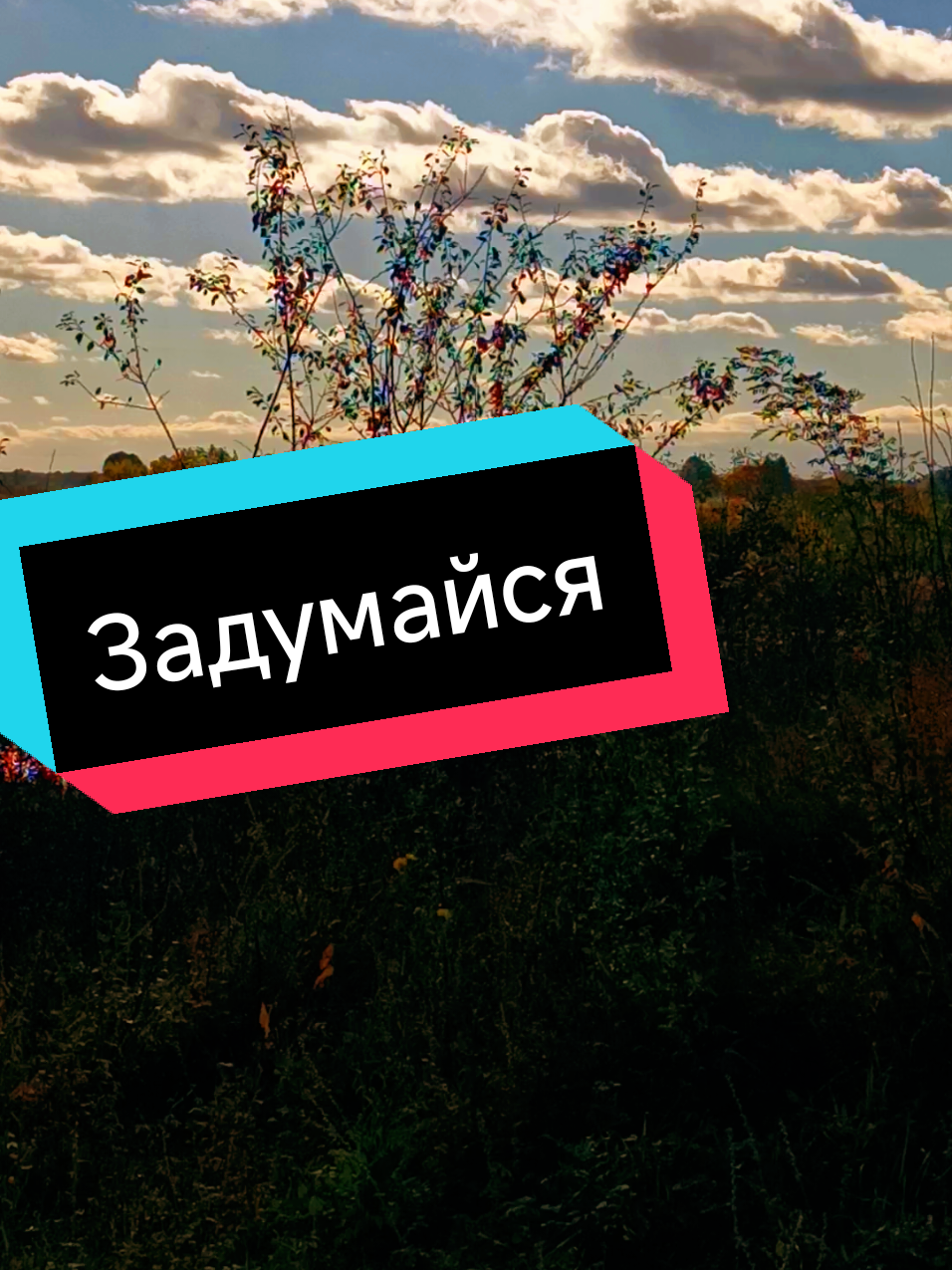 #тарорасклады #мужчина#женщина#отношения# 