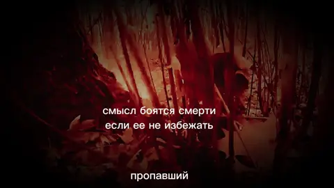 @❌D.laitiw❌ @❌Zeтник❌ @❌STORM❌ @❌sermix❌ @❌реальный мир❌ #рекомендации 