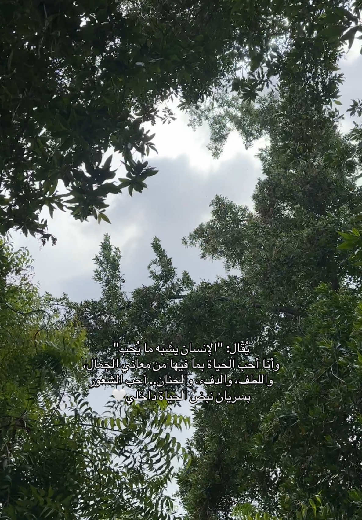 اختر العيش بحب دائمًا، بغض النظر عمّا تمر به الآن، حاول بكل ما أوتيت العيش بحُب، أن تُحب ذاتك، عائلتك، أصدقائك، طريقة عيشك، اهتماماتك وهواياتك، دراستك أو وظيفتك، عندما يدخل الحُب في جميع أمور الحياة فإن الشغف يتسلل معه، فتُصبح الأيام جميلة ومُدهشة حتىٰ لو كانت روتينية وعادية  ♥️  . . #صباح_الخير #صباحات #صباحكم #طاقة_ايجابيه #تطوير_الذات #حب_الحياة 