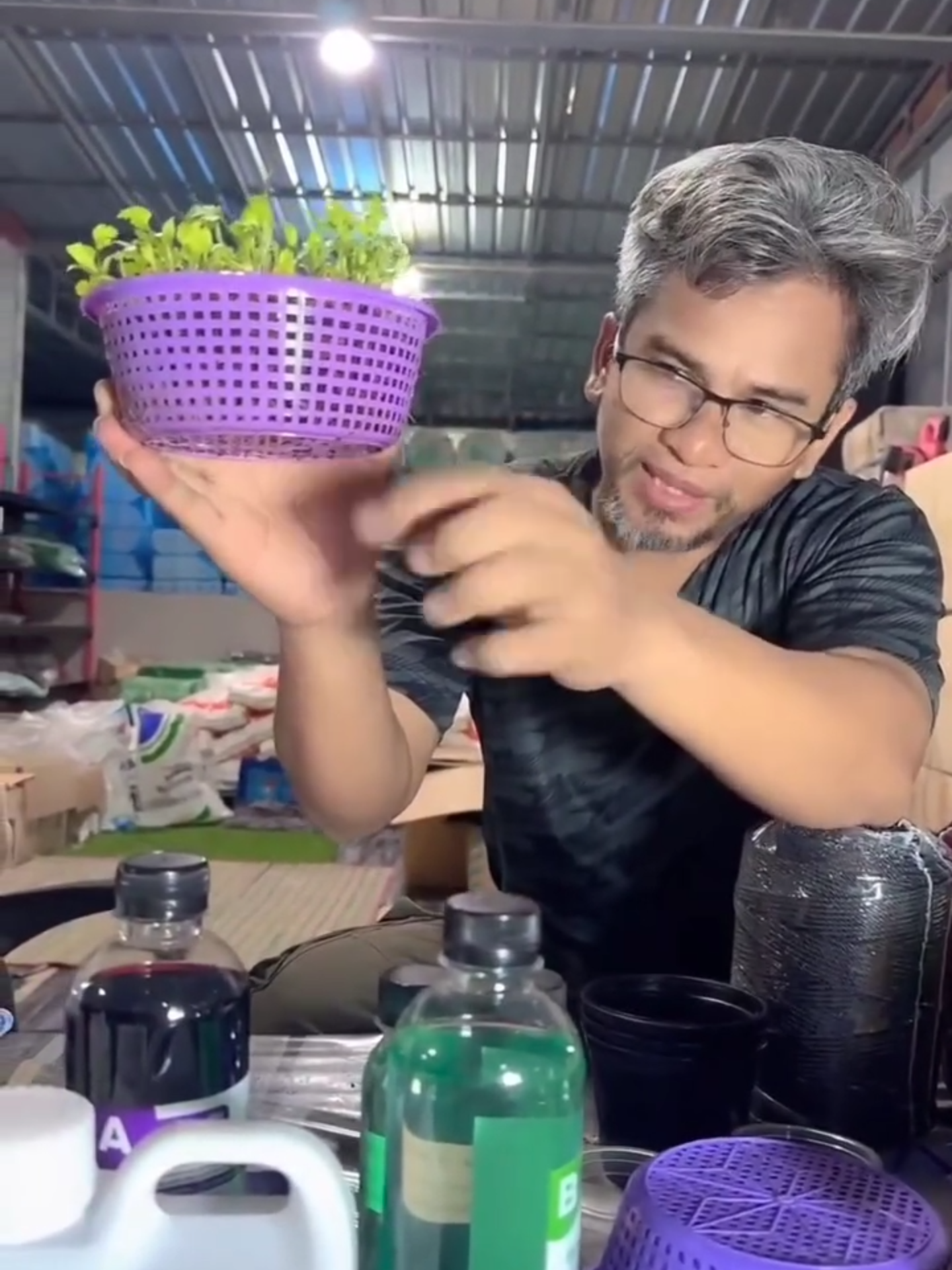 ผักชีเวลาเอาลงกล่อง อย่าใส่น้ำเยอะเกินไป