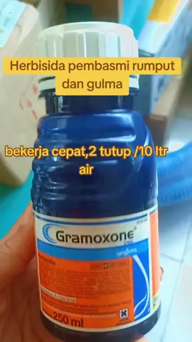 Herbisida Gramaxon #HerbisidaGramaxon #GramaxonPembasmiRumput #GramaxonPembasmiGulma embasmiGulma 