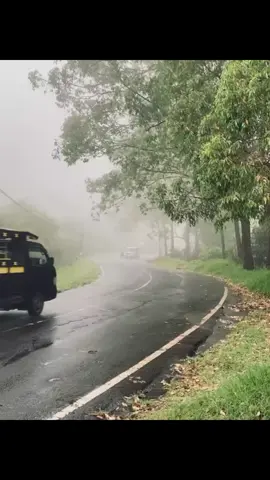 #carepruteng#manggarai_flores_ntt#foryoupage#lagutimur#glensebastian 