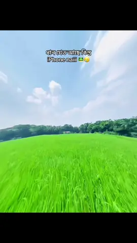 pic asole sundor hoy. 😭🥹🫶 #iphone #foryoupage #viralvideo #foryou #fypシ 