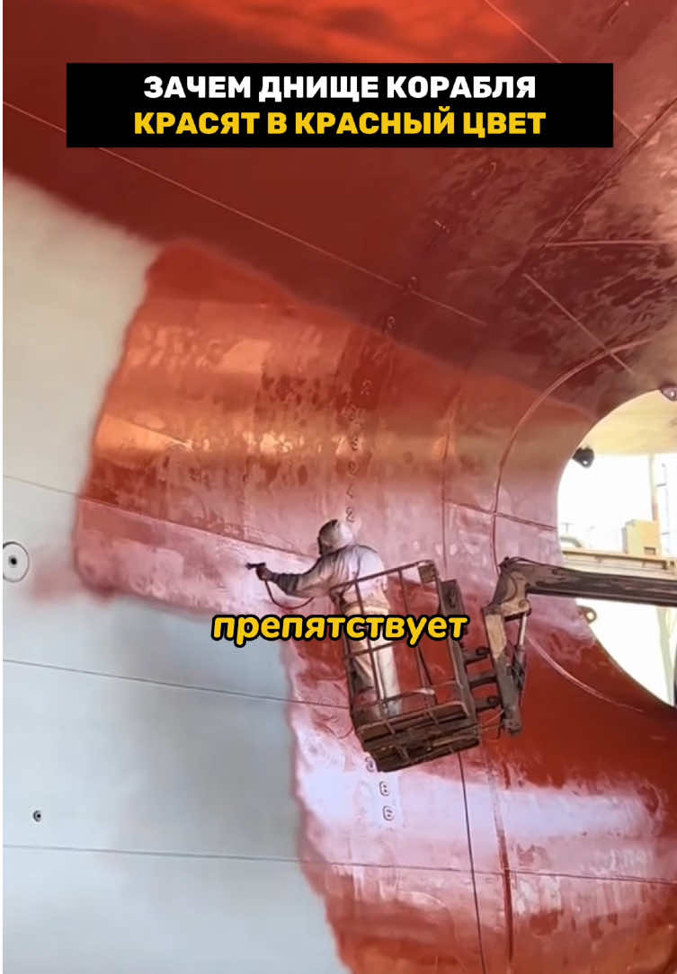 #PaidPartnership #GenuineInteractionMatters #LIVEIncentiveProgram 