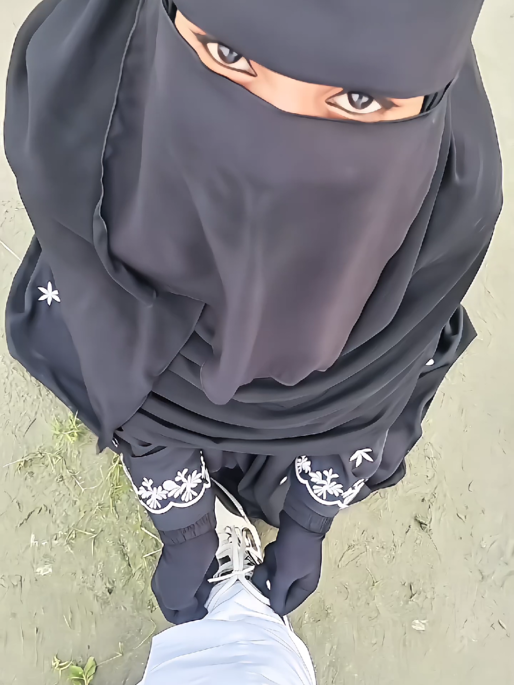 #👑তামিমভাই👑1  #👑তামিমভাই👑1  #👑তামিমভাই👑1  #vairalsong #tiktokbangladesh 