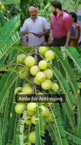 👌🏻👌🏻👌🏻