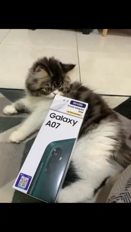 akhirnya kebeli juga#samsunggalaxy#A07#fypppppppppppppppppppppppppppppp 