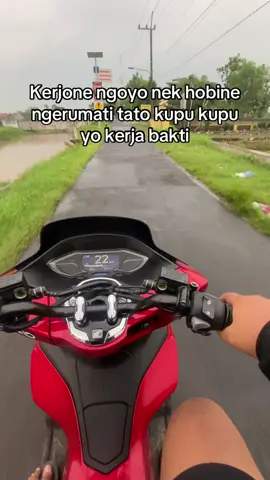 #farrelmekakutok 