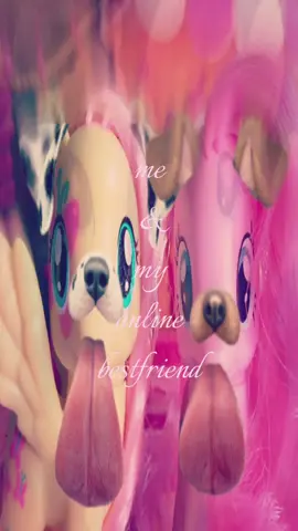 #LanguageLearning #fyp #ilovemybsf 