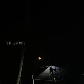 Tu hi hai aashiqui 🫀 #fy 