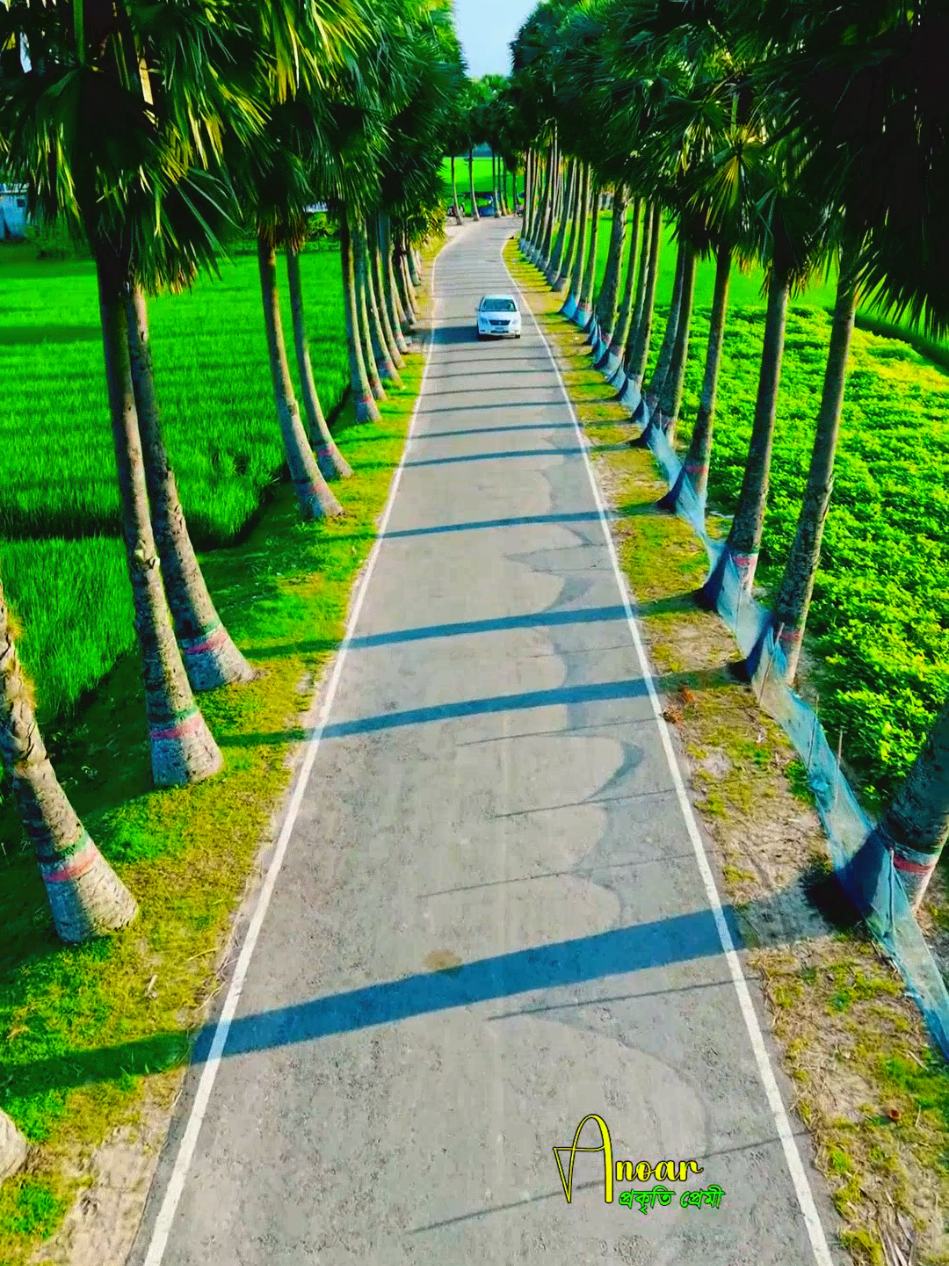 অপরুপ সৌন্দর্যে ঘেরা আমার প্রিয় মাতৃভূমি 🇧🇩 #bangladesh🇧🇩 #foryou #countrylove #viral #nature 