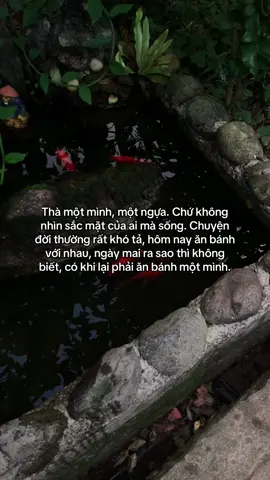 …#tamtrang #story 