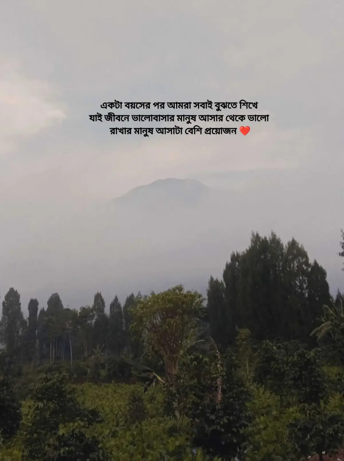 একটা বয়সের পর আমরা সবাই বুঝতে শিখে যাই জীবনে ভালোবাসার মানুষ আসার থেকে ভালো রাখার মানুষ আসাটা বেশি প্রয়োজন ❤ #foryou #foryoupage #viral #unfrezzmyaccount 