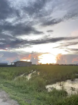 #freetostory #trending #igstory #vibes 