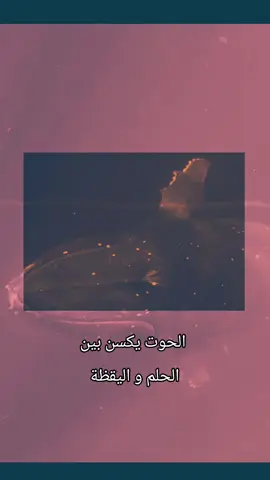 #الحقيقة #حكم #الواقع #الحياة #عالمي #اقتباسات 