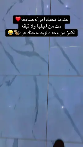 #صلاح_الدين #الجبور_وعز_الجبور #🦅 