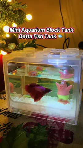 Super cute Mini Aquarium Block Tank,betta fish tank #miniaquarium #bettafishtank #bettafish #aquariumblock #miniaquariumtank 