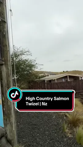 Cafe  #salmon #newzealand  #twizel #tiktokviral #travel 