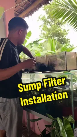 Installation ng sump filter feat Aquaspeed A2000.🥰 #Fyp #SumpFilter #Aquaspeeda2000 #SubmersiblePump 