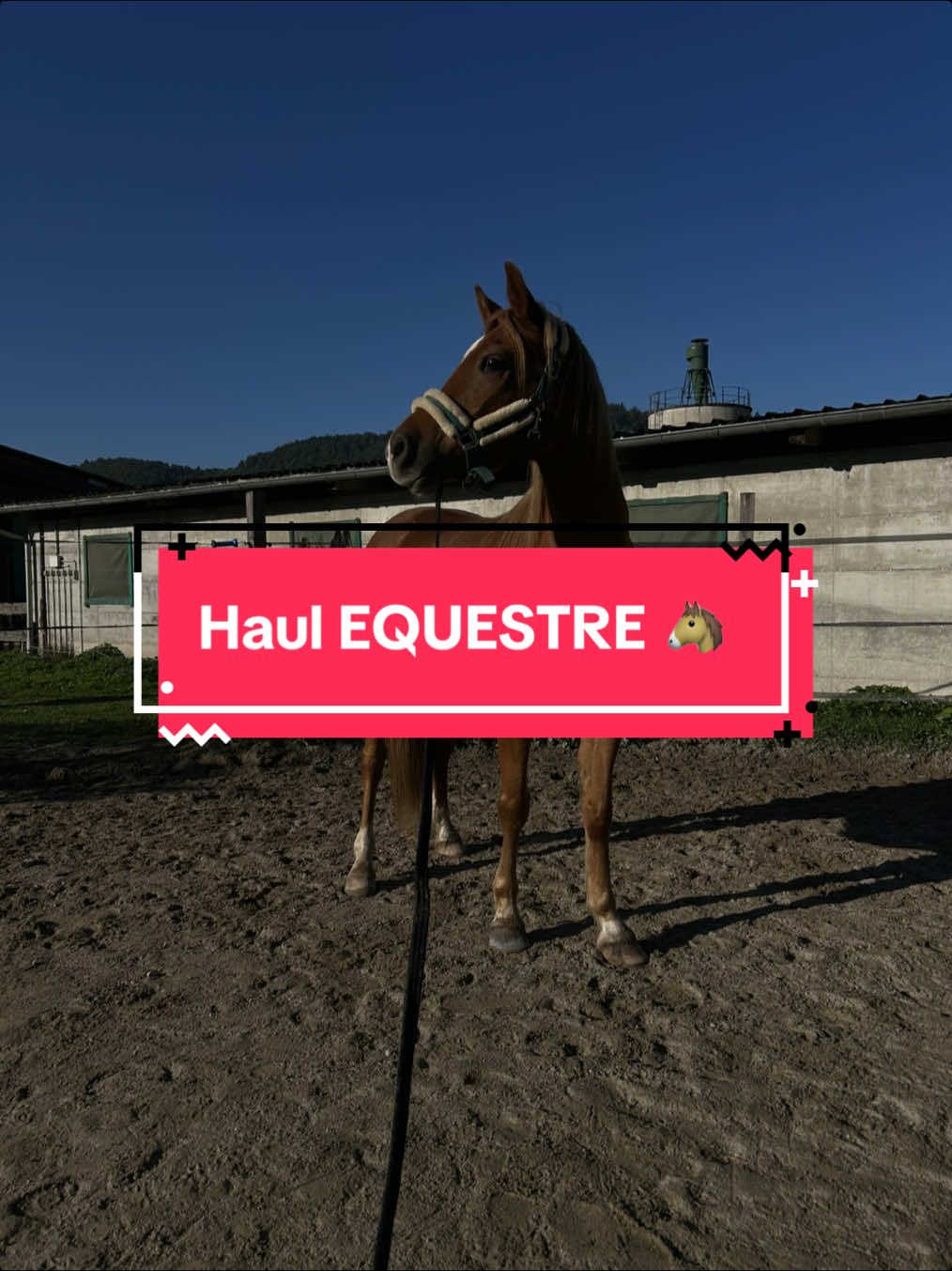 Haul Équestre 🐴  #haul #cheval #equestre #equitation #alsace 