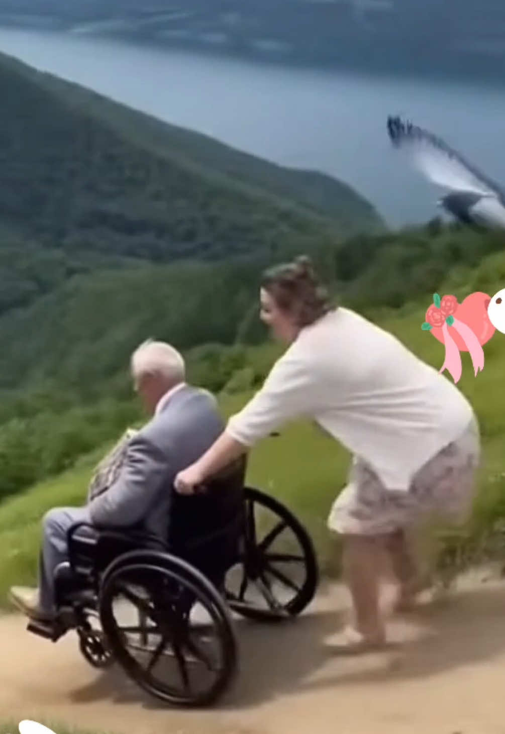 Wenn du dachtest, du hast schon alles auf Hochzeiten gesehen… 💍🕊️ #rollstuhl 