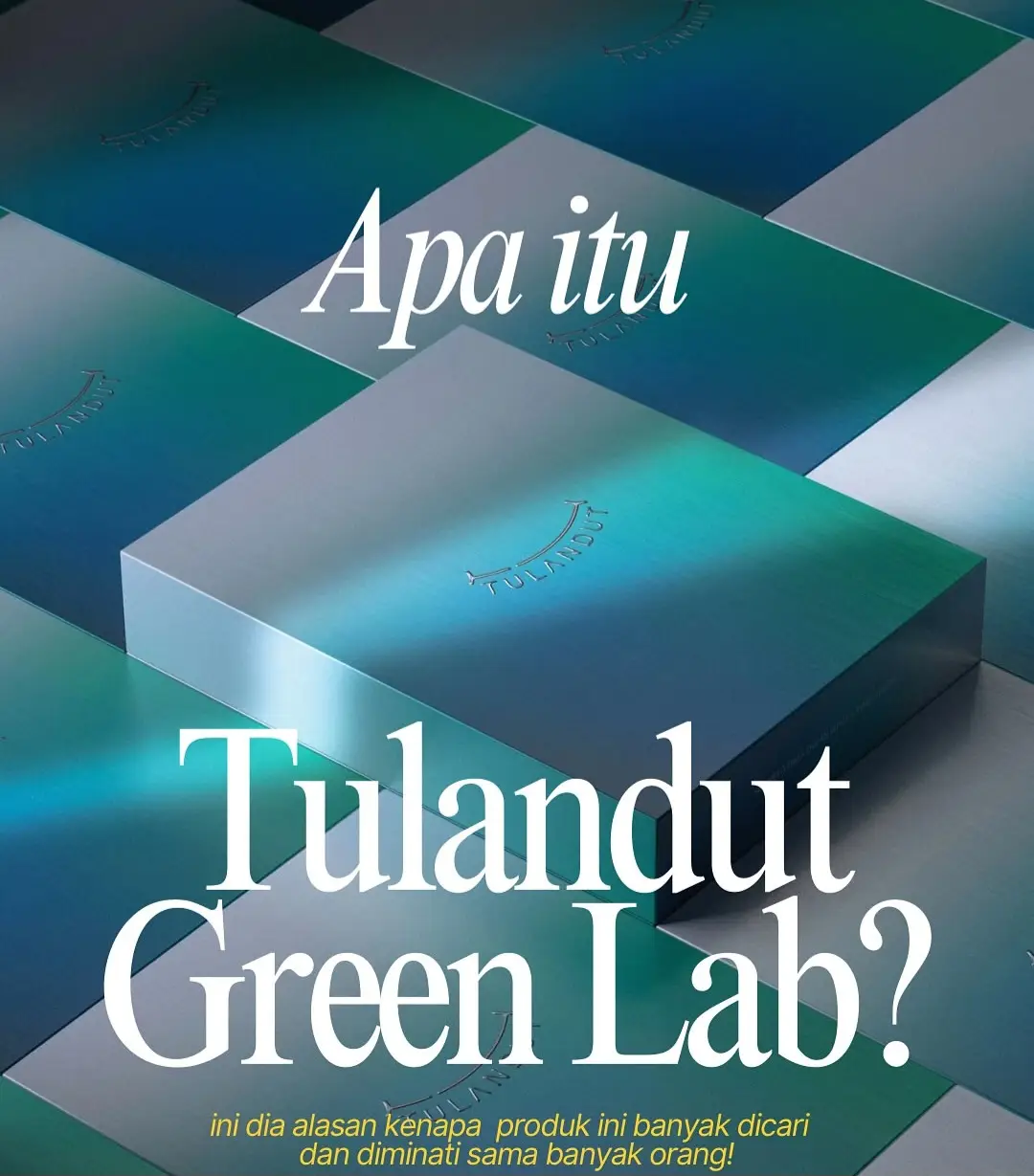 Celana Dalam dari Serat Rumput Laut -tapi bukan Sembarang celana dalam! Yang ini beda banget😊 💡Ada idikator pintar di logo TULANDUT yang bisa berubah warna saat bakteri aktif 👉Tandanya fungsi antibakteriny udah habis!