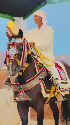 #الرقم_الصعب🔥👑 #خيل_وخياله🐎 #عدسة_الغرياني 