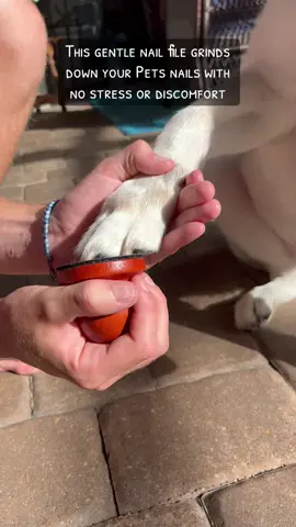 This handheld dog nail file makes trimming simple, safe, and stress-free. It's gentle on sensitive paws and easy to control.#dognails #doggadgets #dognailfile #tiktoklive #livehighlights