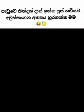 නිය රටා මවනවා 😓😂 . . #CapCut #catlover #cat #foryou #trending 