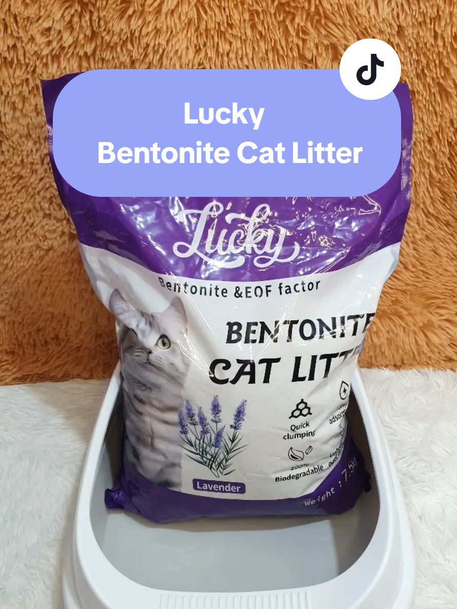 Lucky Bentonite Cat Litter!!🐱🐱 #luckybentonitecatlitter #catlitter #catlittersand #bentonitecatlitter #bentonitecatlittersand 
