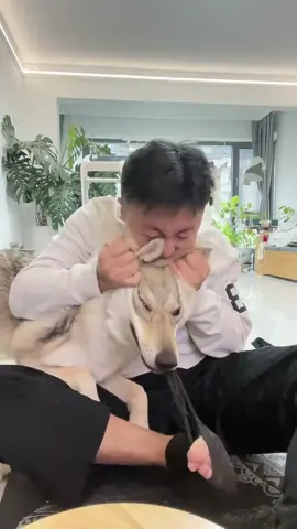 จะสงสารใครก่อนดี 😂😂#สุนัข #dog #狗狗 #อยากมีผู้ติดตาม 