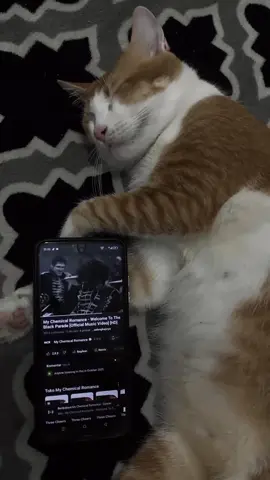 Ada yang hidup namun sebagian jiwanya juga telah mati⚰️ #mychemicalromance #wellcometotheblackparade #mcr #mcrsongs #theblackparade 