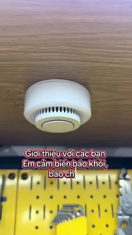 Thiết bị cảm biến báo khói, báo cháy thông minh #cambienchay #cambienbaokhoi #thietbibaochay 