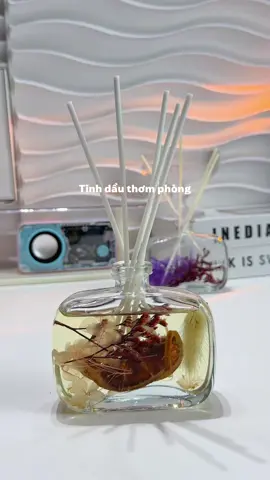 Phòng thơm như khách sạn spa nhờ cái lọ tinh dầu này nè mọi người #tinhdauthomphong #tinhdaukhuechtan #thomphong #xuhuong #viral 