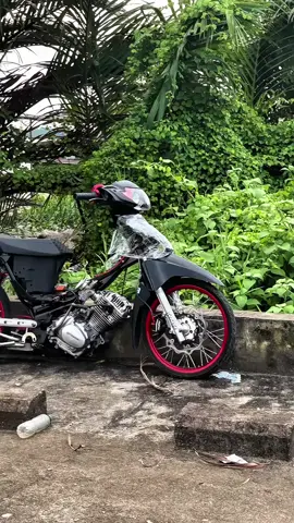 Tiger Supra #fypシ゚viral #kphgank #suprakuburaya #kphjogjastyle 