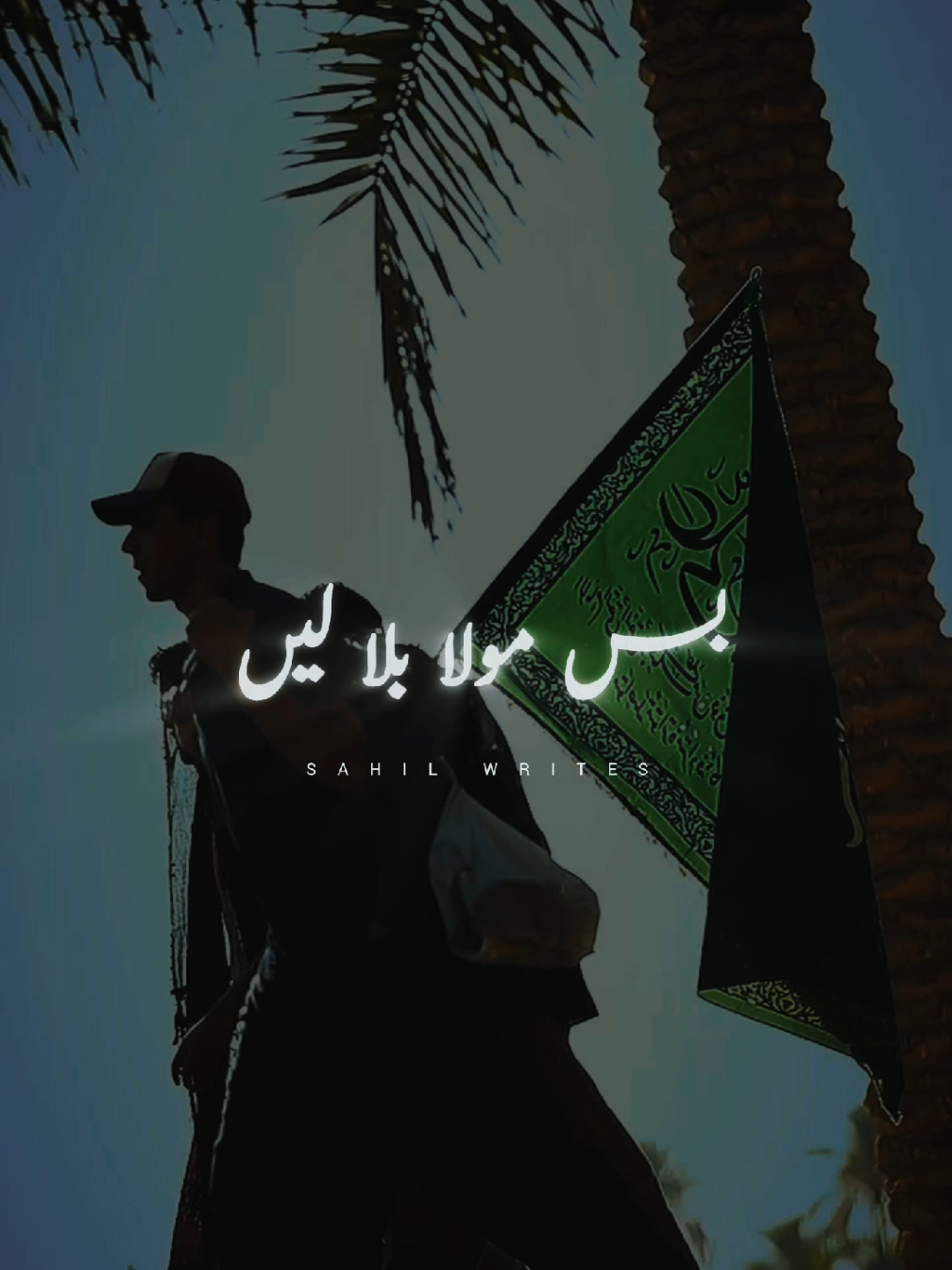 Bas Maula Bhula Lein #alishanawar #noha #trending #foryou #whatsappstatus 