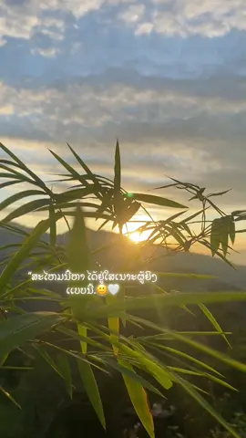 #รักแค่เรด🤍🦋 #ຂື້ນຟິດເນ່👌🏻💕 #ผมไม่ได้ความรักมาจากใผเลย🦋😥 
