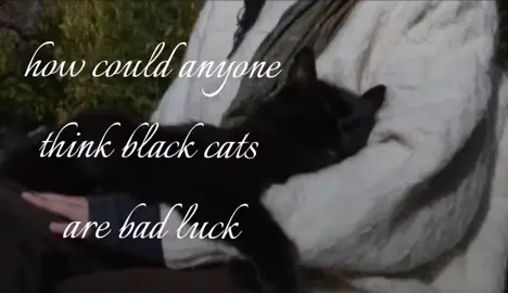 I love black cars #blackcat #cat #catlover #blackkitten #blackcatsaregoodluck 