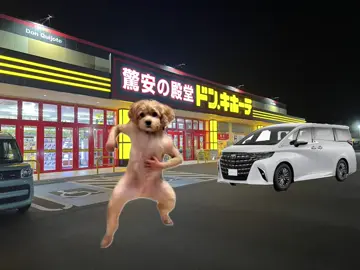 #横揺れ#犬