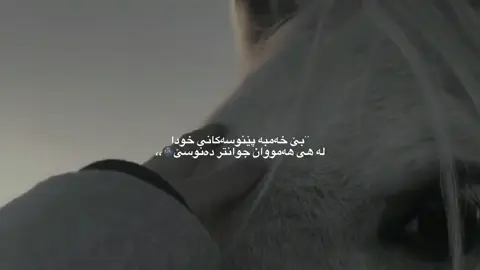 لەهێ هەمووان جوانترە،، #اللهم_صل_وسلم_وبارك_على_نبينا_محمد #اللهم_صل_وسلم_وبارك_على_نبينا_محمد #اللهم_صل_وسلم_وبارك_على_نبينا_محمد #explor #اللهم_صل_وسلم_وبارك_على_نبينا_محمد 