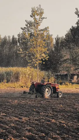 🥺❤️‍🩹#welovetosmile #naturalvibes #villegelife #zamawatanlundkhwer #fyppppppppppppppppppppppppp 