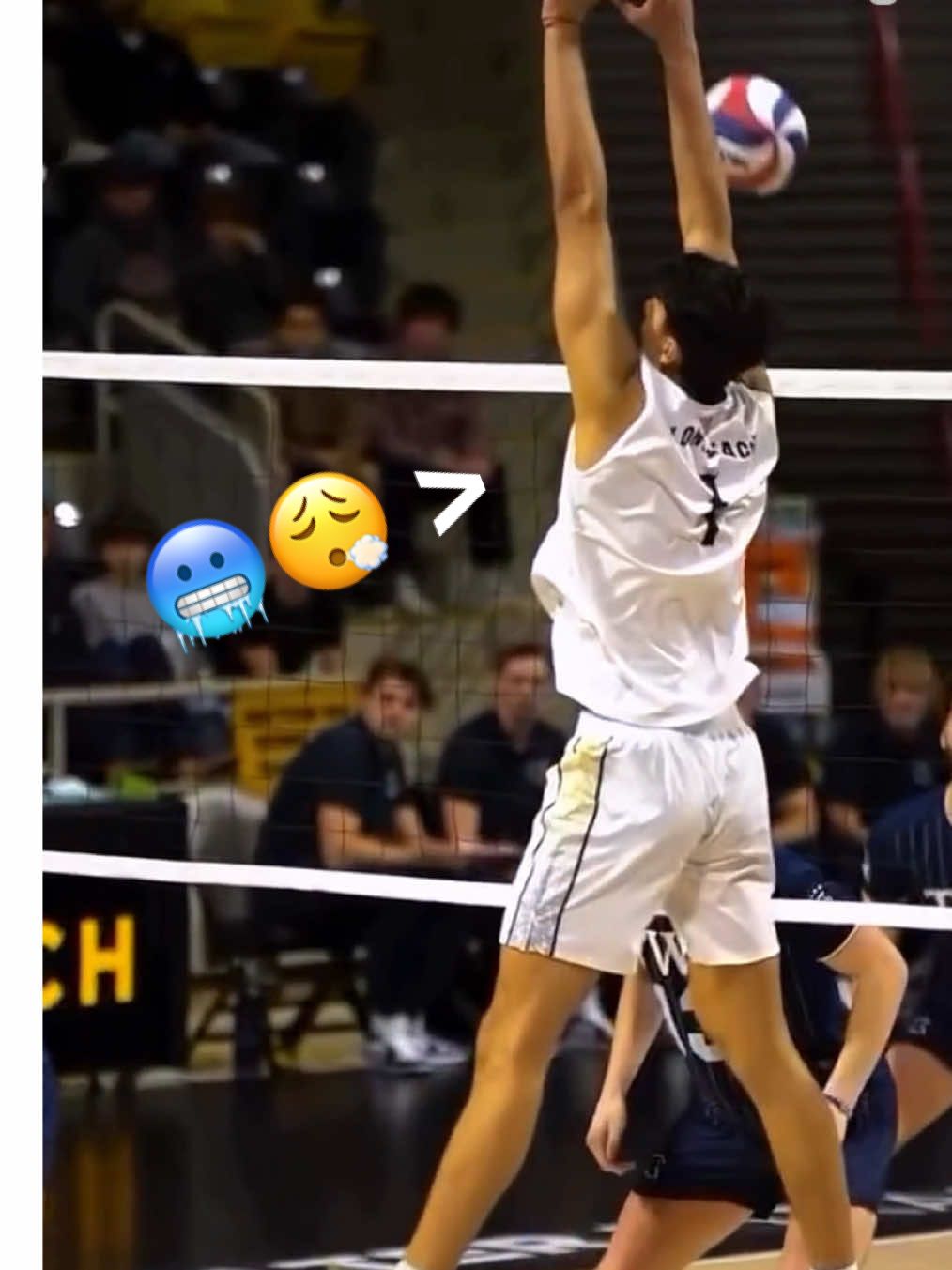 The End💀 USA college level is another.Never make Nikolov angry! Nikolov the best setter right now? Spikes level Nikolov is another😮‍💨 he running show every games😨 #volleyball #volleyballworld #volleyballplayer #volleyballusa #volleyballeurope 
