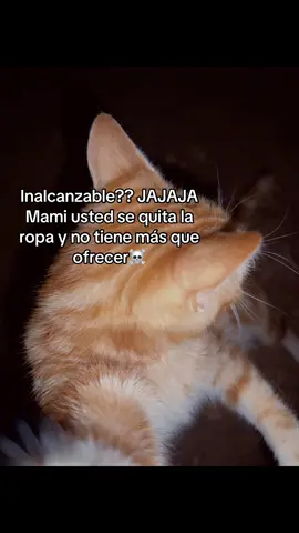 Inalcanzable?? Mami usted se quita la ropa y no tiene más que ofrecer ☠️ #facts #humor #factos #viraltiktok #paradedicar 
