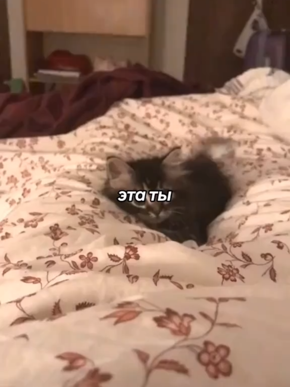 ну это прям ты #щп #котик #кот #мило #любовь #люблю #ты #cupcut #fyp #trend #pov #idk #люблютебя 