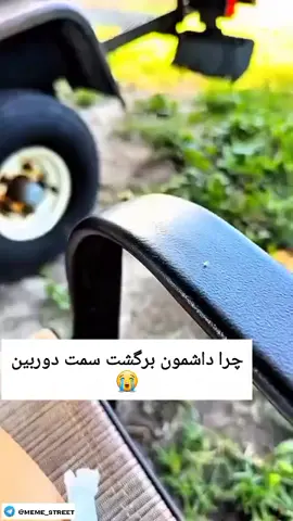 خدااااااااا چه نازهههه #گمشو_برو_فوریو  #برو  #گمشو_برو_فوریو 