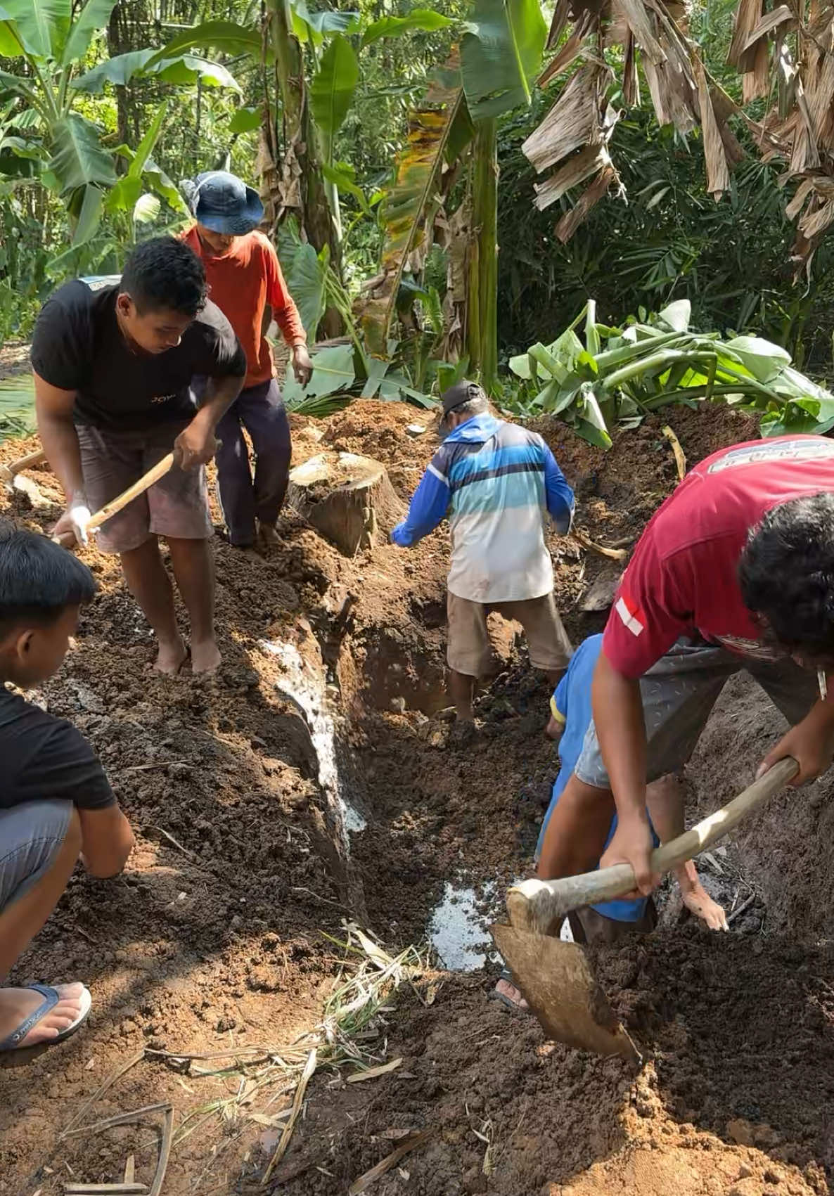 Suka duka seorang peternak, selamat jalan Jabrix 🥹 #sapijumbo #peternakmuda #sapiqurban #sapisuper #sobatngaritnusantara 